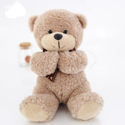 OEM Teddy Bear Plush Toys su ordinazione