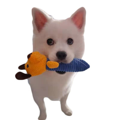I giocattoli sani della peluche degli animali domestici del cane mordono il giocattolo molle mettere i denti molare resistente