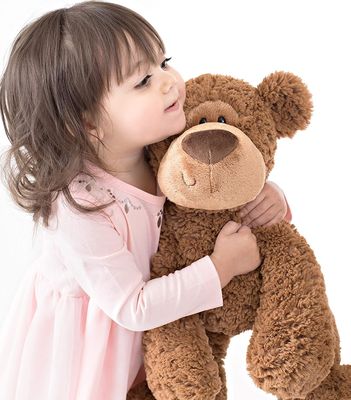 Il PMS colora il giocattolo confuso di seduta lavabile della peluche dell'orso