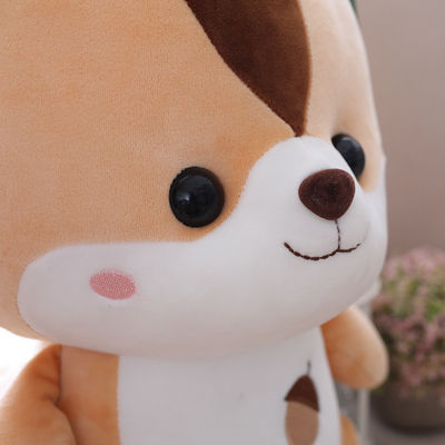 Il giocattolo 25cm della peluche dello scoiattolo dei bambini dell'OEM con il cotone del polipropilene ha riempito
